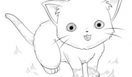 漫猫动漫,描绘青春梦想的奇幻画卷