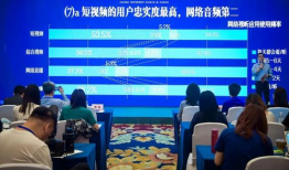 双渗透视频,视频深度解析